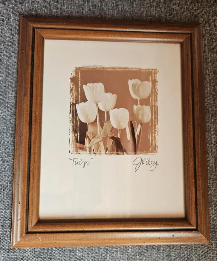 Cadre bois tulipes décoration murale, Maison & Meubles, Accessoires pour la Maison | Cadres, Utilisé, Bois, Enlèvement ou Envoi