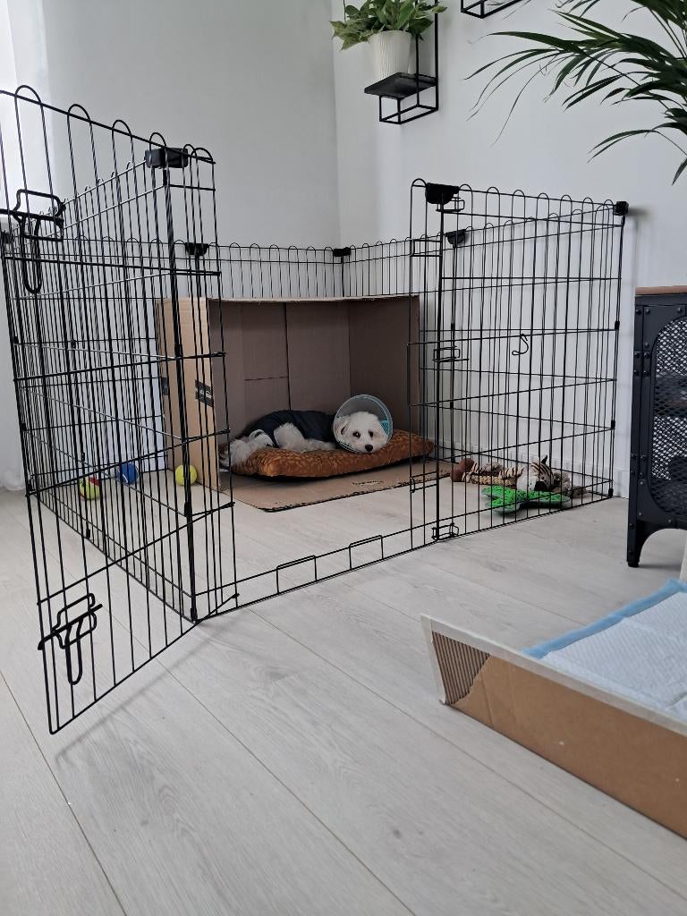 enclos pour chien, Animaux & Accessoires, Enlèvement, Comme neuf