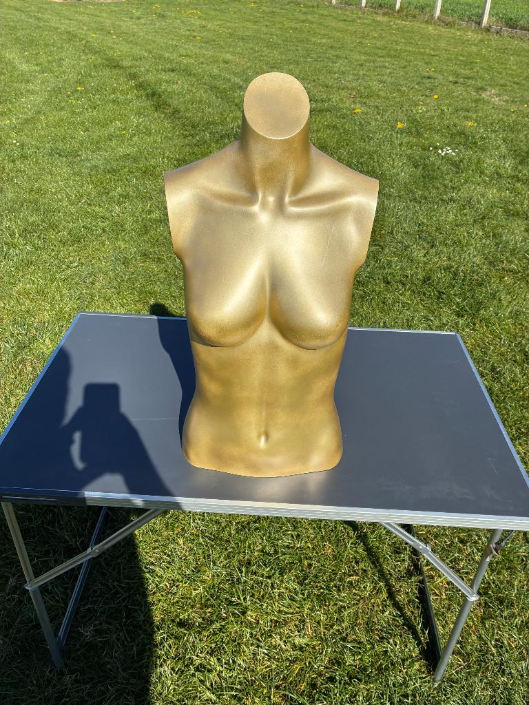 Gouden borstbeeld, Antiek en Kunst, Kunst | Beelden en Houtsnijwerken, Ophalen, Goud