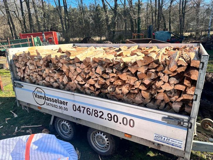brandhout naaldhout., Jardin & Terrasse, Bois de chauffage, Bûches, Autres essences de bois, 6 m³ ou plus, Enlèvement