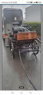 Wijkmanskoets, Dieren en Toebehoren, Ophalen of Verzenden