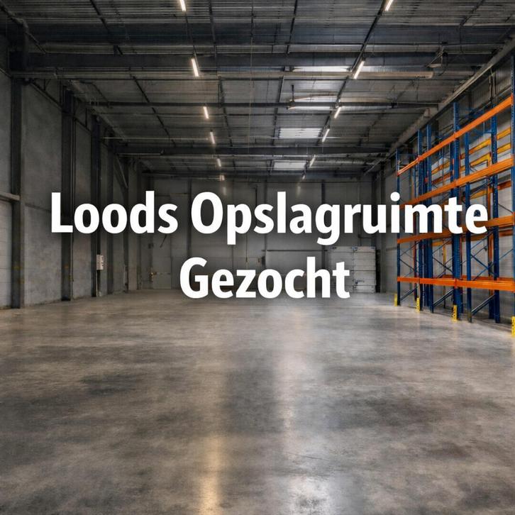 opslagruimte-loods-magazijn gezocht te huur, Zakelijke goederen, Bedrijfs Onroerend goed, Opslag of Loods, Huur