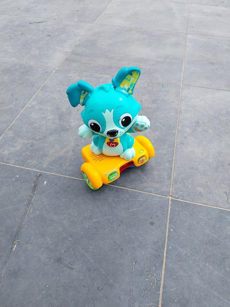 Pak me dan puppy vtech, Ophalen