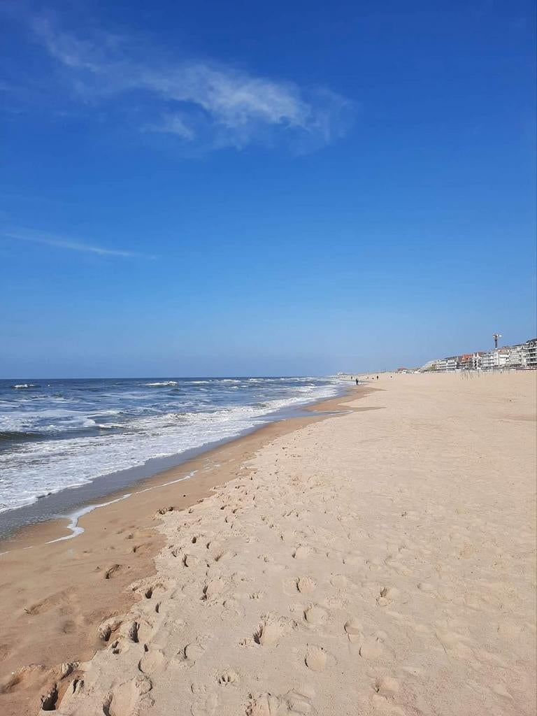 Te huur, Vacances, Campings