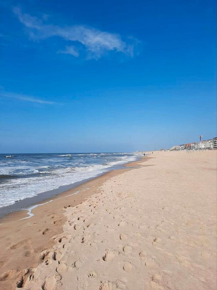 Te huur, Vakantie, Campings