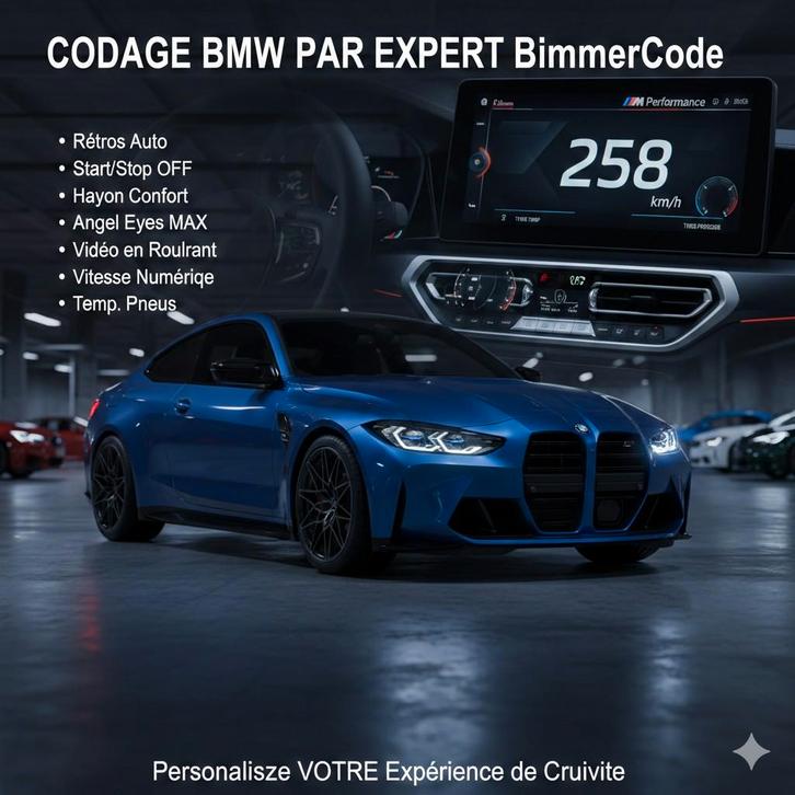 Personnalisation et Codage BMW  MINI, Informatique & Logiciels, Logiciel Navigation
