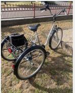 Driewieler eco trike Cm goedshop, Fietsen en Brommers, Ophalen, Zo goed als nieuw, Verstelbare zitting