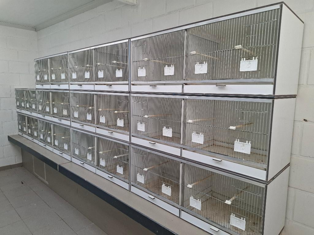 Kweekkooien / Kweekkooien parkieten, Ophalen, Gebruikt, Hout, Broedkooi of Kweekkooi