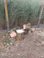 gratis op te halen  - brandhout, Tuin en Terras, Brandhout, Ophalen