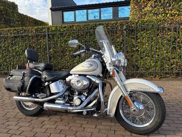 Harley davidson Heritage softail classic  beschikbaar voor biedingen