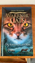 Warrior Cats - Een visioen van schaduwen: De razende storm, Boeken, Kinderboeken | Jeugd | 10 tot 12 jaar, Ophalen, Zo goed als nieuw