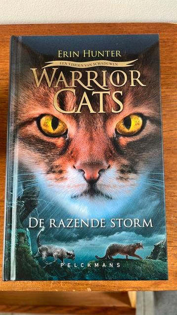 Warrior Cats - Een visioen van schaduwen: De razende storm beschikbaar voor biedingen