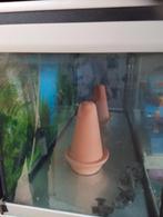 Aquarium met meubel, Dieren en Toebehoren, Ophalen