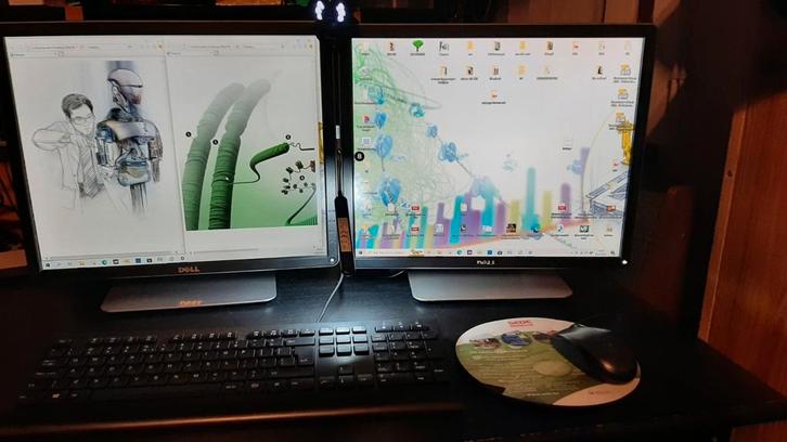 Double écran d'ordinateur Dell Energystar, Informatique & Logiciels, Ordinateurs de bureau, Comme neuf, Enlèvement ou Envoi