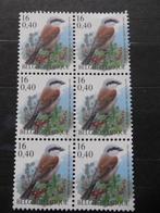 2885 Grauwe klauwier - Pie grièche écorcheur MNH, Ophalen of Verzenden, Postfris, Frankeerzegel