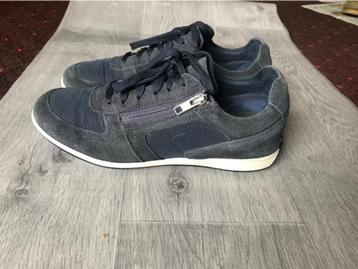 Chaussures hommes (GEOX). beschikbaar voor biedingen