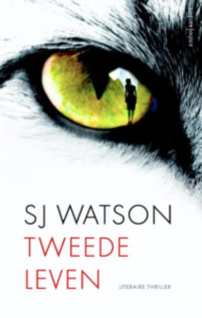 Boek Tweede leven - SJ Watson, Livres, Thrillers, Comme neuf, Envoi