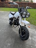 Honda Baja/Z50R (replica), Fietsen en Brommers, Brommers | Overige merken, Nieuw, Ophalen of Verzenden, Klasse B (45 km/u), 4 versnellingen