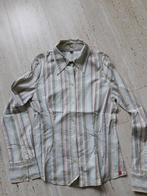 Doos met merk kleding 38 - 40, Kleding | Dames, Ophalen of Verzenden, Zo goed als nieuw