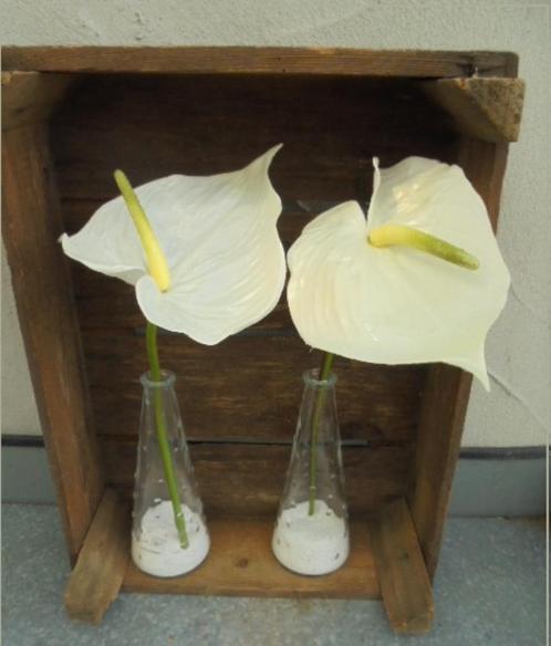 VAAS VINTAGE 1990 TAPS 18,5x dia 7,5 cm Flamingobloem set 2, Antiek en Kunst, Curiosa en Brocante, Verzenden
