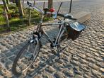 Elektronische fiets van giant xl, Fietsen en Brommers, Ophalen, Giant