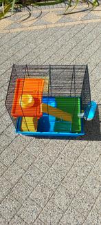 Hamsterkooi met accessoires, Nieuw, Kooi, Minder dan 75 cm, Minder dan 60 cm