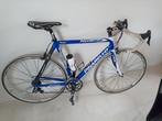 Pinarello Angliru, Ophalen, Gebruikt, Carbon