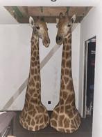 Opgezette giraf x2 taxidermie, Collections, Collections Animaux, Comme neuf, Autres, Animal empaillé, Enlèvement ou Envoi