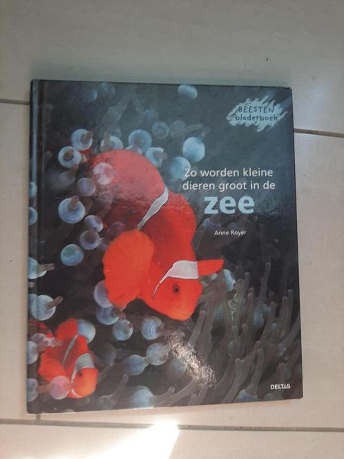 Beesten bladerboek over prachtige zeedieren, Boeken, Kinderboeken | Jeugd | 13 jaar en ouder, Gelezen, Non-fictie, Ophalen of Verzenden