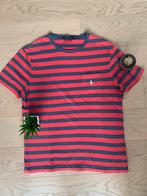 Polo ralph lauren T-shirt, Kleding | Heren, Maat 48/50 (M), Nieuw, Ophalen of Verzenden, Polo Ralph Lauren