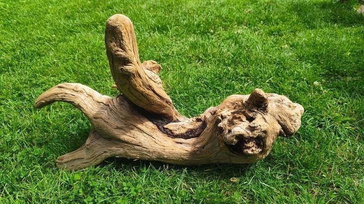 Bois flotté naturel, Dieren en Toebehoren, Overige Dieren-accessoires, Nieuw, Ophalen