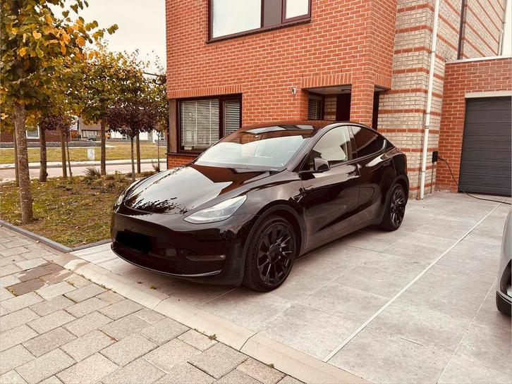 Tesla Model Y Long Range AWD / Dual Motor  514 pk, Auto's, Tesla, Particulier, Model Y, Elektrisch, SUV of Terreinwagen, 6 deurs
