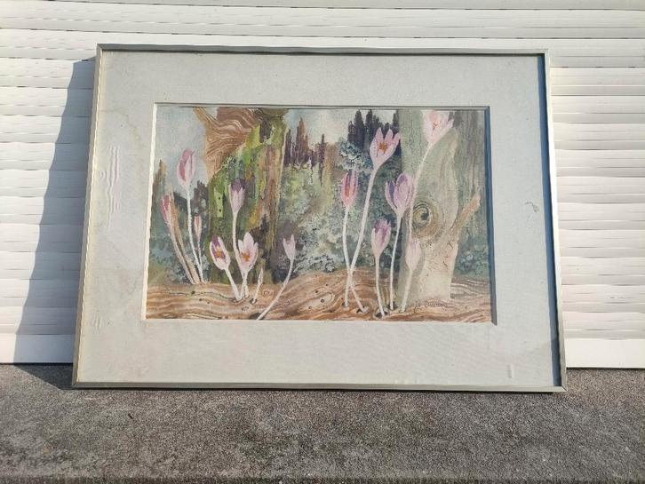 aquarelle signe jo dreessens, Antiek en Kunst, Kunst | Schilderijen | Klassiek, Ophalen of Verzenden