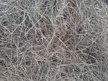 Hooi beschikbaar voor biedingen