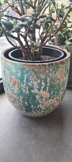 Cache pot, Tuin en Terras, Bloempotten, Ophalen, Binnen