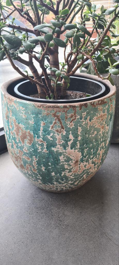 Cache pot, Tuin en Terras, Bloempotten, Binnen, Ophalen