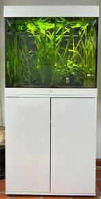 Juwel Aquarium 200 liter met kast, Dieren en Toebehoren, Ophalen, Zo goed als nieuw, Gevuld zoetwateraquarium