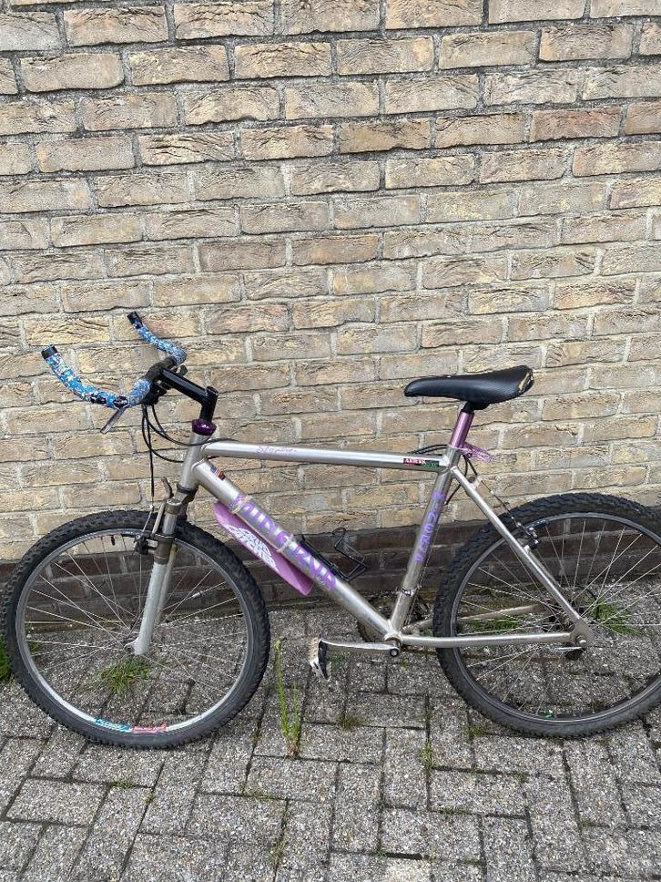 Fiets, Fietsen en Brommers, Fietsen | Heren | Herenfietsen, Gebruikt, Overige merken, Versnellingen, Ophalen