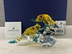 Swarovski Paradise kikkers, Verzamelen, Ophalen of Verzenden, Nieuw, Figuurtje