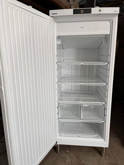 Congélateur Liebherr GGv 5010. 486L. Garantie 6 mois!, Elektronische apparatuur, Vriezers en Diepvrieskisten, Zo goed als nieuw