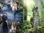 Combiticket De grotten van han en het wildpark