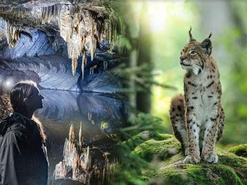 Combiticket De grotten van han en het wildpark beschikbaar voor biedingen