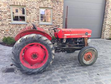 Massey Ferguson 135 + multi power, Zakelijke goederen, Landbouw | Tractoren, Ophalen, Oldtimer, Tot 80 Pk, 5000 tot 7500