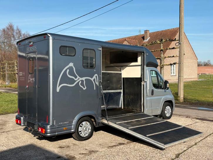 🐴Peugeot Boxer 2.2HDI Paardencamionette Horses, Dieren en Toebehoren, Paarden en Pony's | Trailers en Aanhangwagens, Ophalen