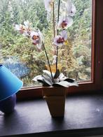 Orchidée decorative en soie avec pot., Maison & Meubles, Comme neuf, Enlèvement ou Envoi