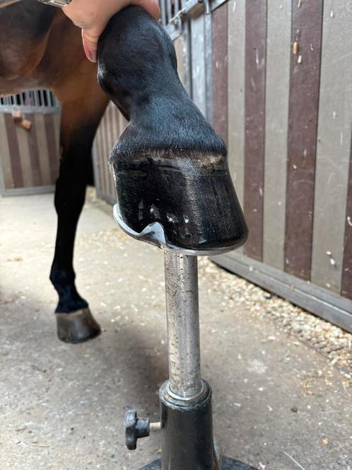 Hoefsmid aangeboden, Dieren en Toebehoren, Paarden