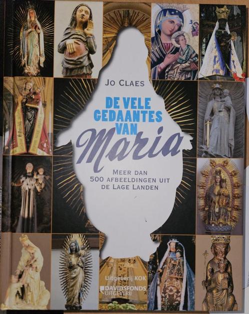 De vele gedaantes van Maria, Boeken, Kunst en Cultuur | Beeldend, Zo goed als nieuw, Overige onderwerpen, Ophalen of Verzenden