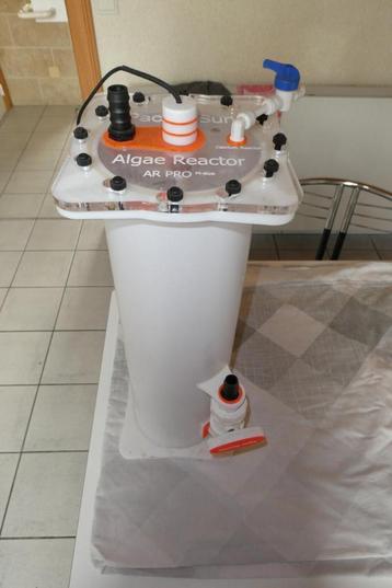 Algen reactor Pacific Sun beschikbaar voor biedingen