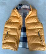 Bodywarmer jongen Burberry, Jongen, Burberry, Ophalen of Verzenden, Jas