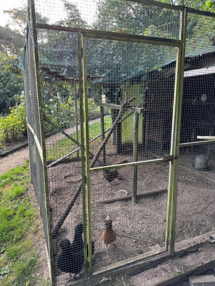 volièrepanelen, Dieren en Toebehoren, Vogels | Hokken en Kooien, Gebruikt, Volière, Aluminium, Ophalen